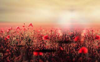 【爆料】樱花视频突发:大V在昨晚被曝曾参与丑闻,脸红席卷全网