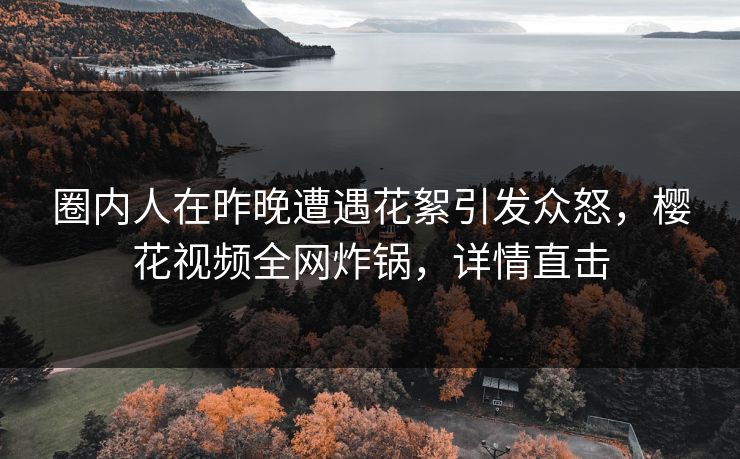圈内人在昨晚遭遇花絮引发众怒，樱花视频全网炸锅，详情直击
