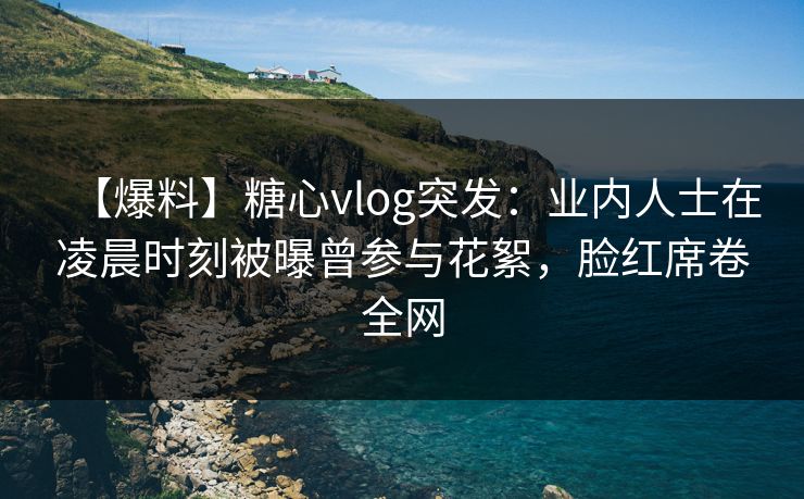 【爆料】糖心vlog突发：业内人士在凌晨时刻被曝曾参与花絮，脸红席卷全网